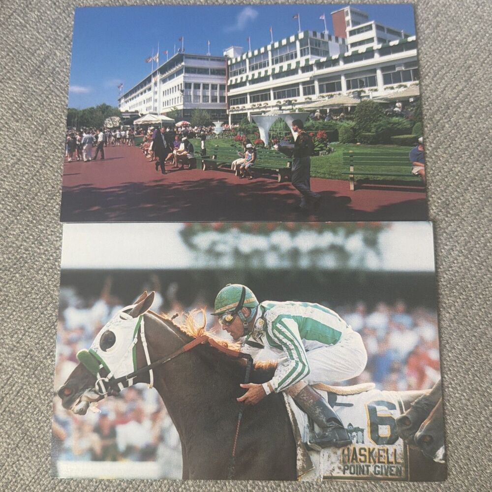 POINT GIVEN HORSE OF THE YEAR 2001 THOROUGHBRED MONMOUTH PARK NJ POSTCARD LOT